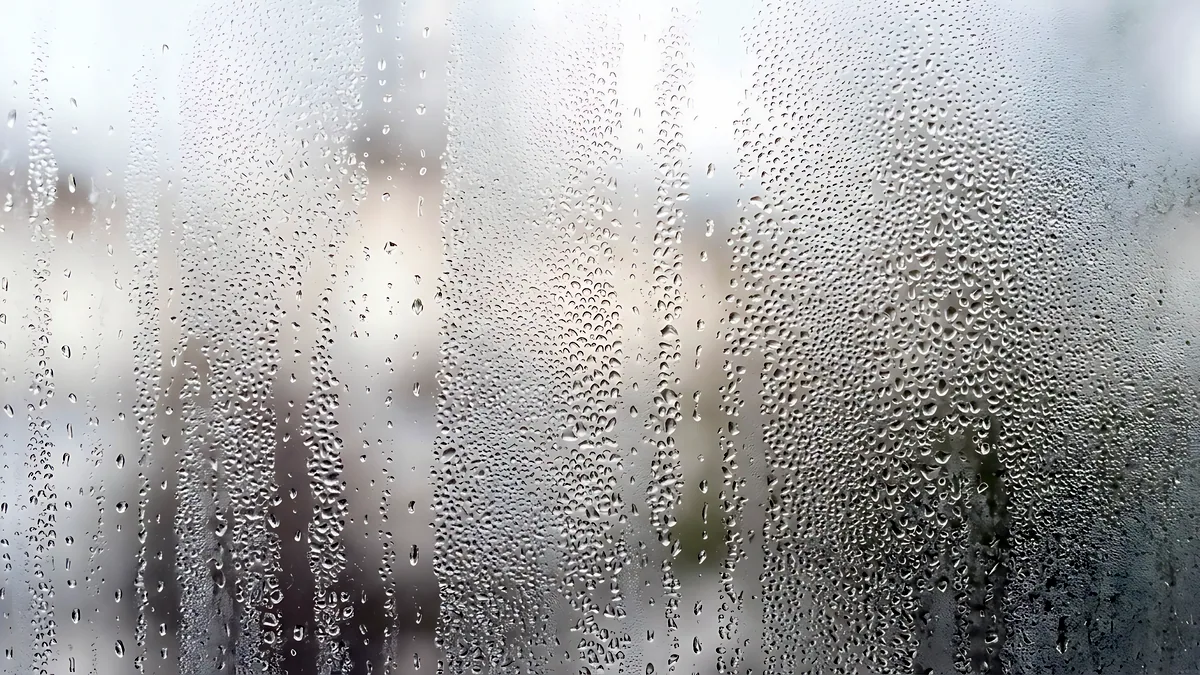 Soft grey daylight falling through a rain-streaked window onto an empty chair in a quiet room.